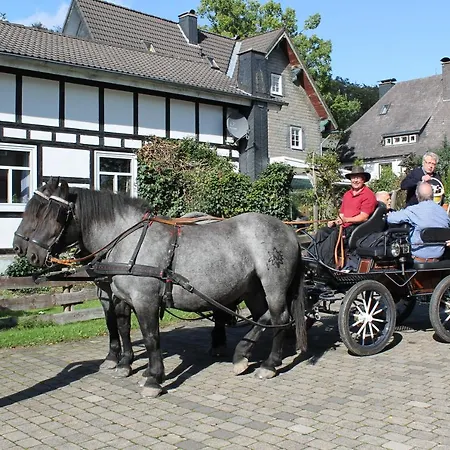 Mollseifer Hof Winterberg