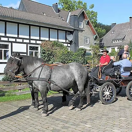 Mollseifer Hof Hotel Winterberg