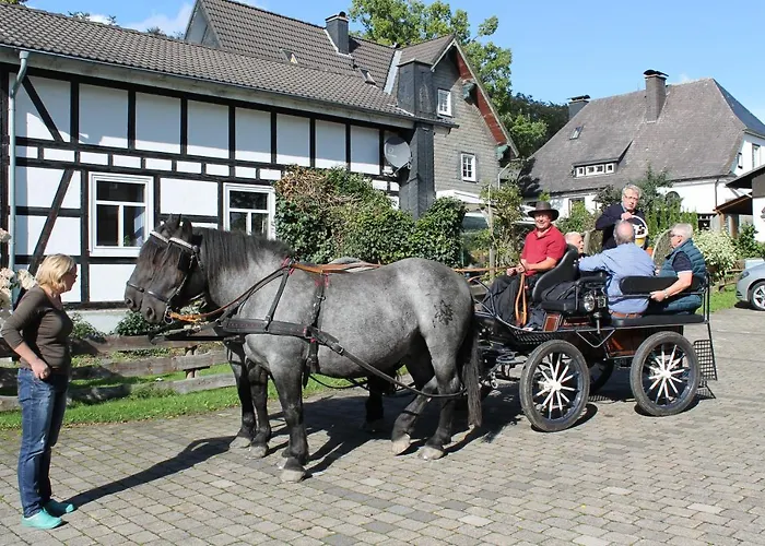 Mollseifer Hof Вінтерберг